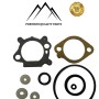 TÖMÍTÉS KOMPLETT BRIGGS&STRATTON QUANTUM (498261)