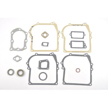 TÖMÍTÉS KOMPLETT BRIGGS&STRATTON 450 500 CLASSIC (298989, 590777, 699933, 794209) TÖMÍTÉS KOMPLETT BRIGGS&STRATTON 450 500 CLASSIC (298989, 590777, 699933, 794209)