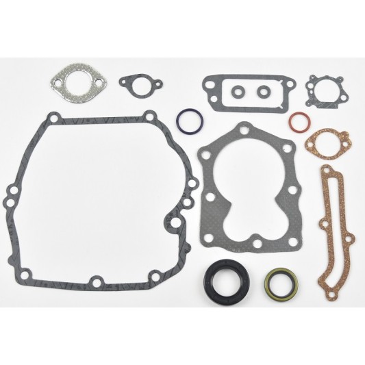 TÖMÍTÉS KOMPLETT BRIGGS&STRATTON QUANTUM (493263, 496117, 497316)