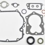 TÖMÍTÉS KOMPLETT BRIGGS&STRATTON QUANTUM (493263, 496117, 497316)