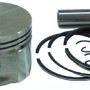 DUGATTYÚ KOMPLETT BRIGGS&STRATTON 10-18LE STD (391285, 393271, 394661, 394955, 499282, 499284, 696397)