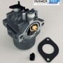 KARBURÁTOR BRIGGS&STRATTON 495706, 498027, 498231, 499161, 799728 FARMERTEC (495706, 498027, 498231, 499161, 799728)