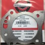 USZCZELKA GŁOWICY BRIGGS&STRATTON 592358 (592358)