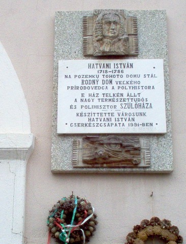 21. hatvani istvan