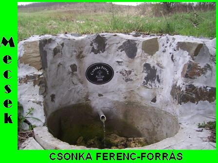 05. csonka ferenc forras