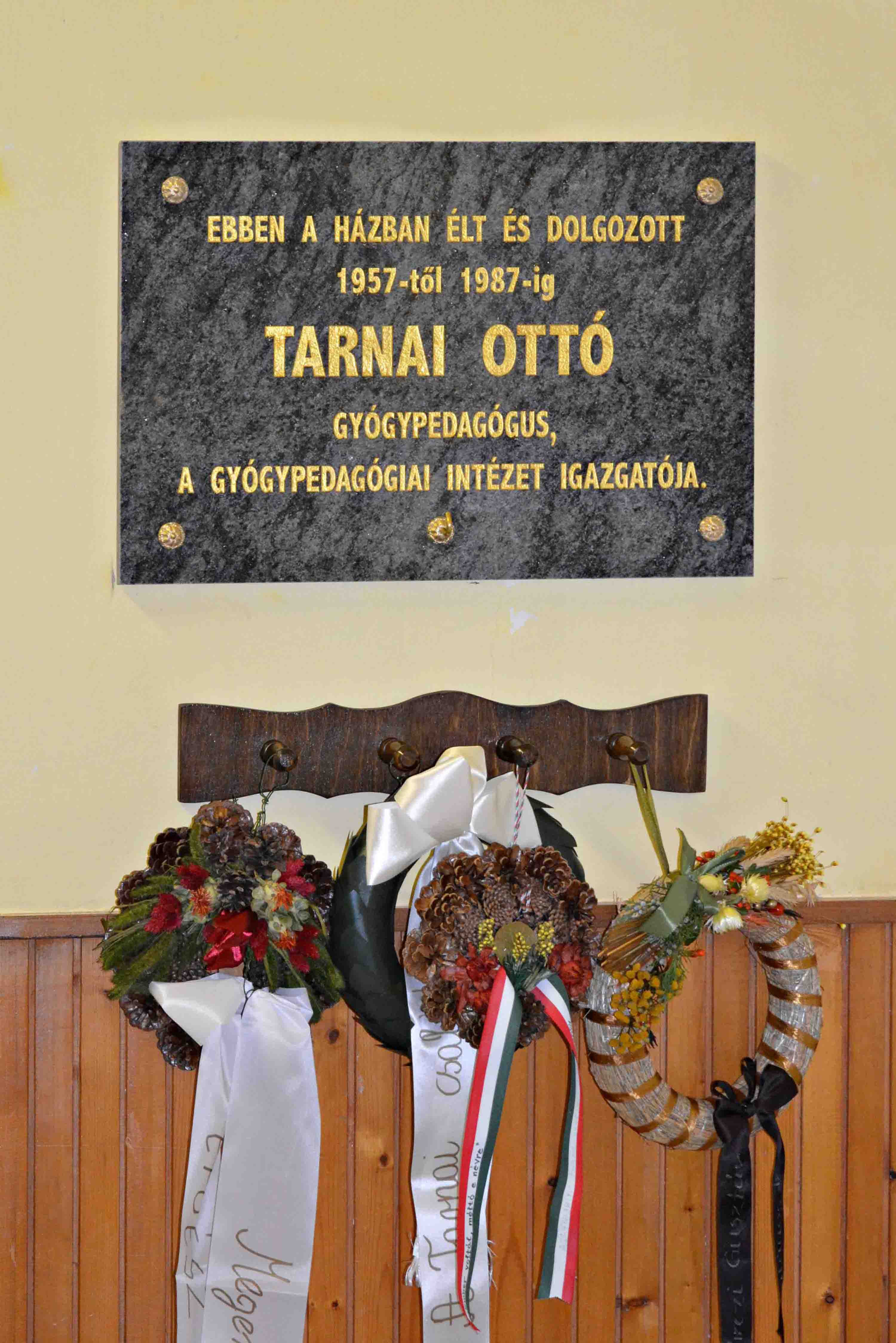 Tarnai Otto 10.JPG