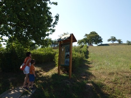 11. romhany rakoczi faja 01