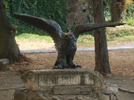 13. ungvar turulmadar