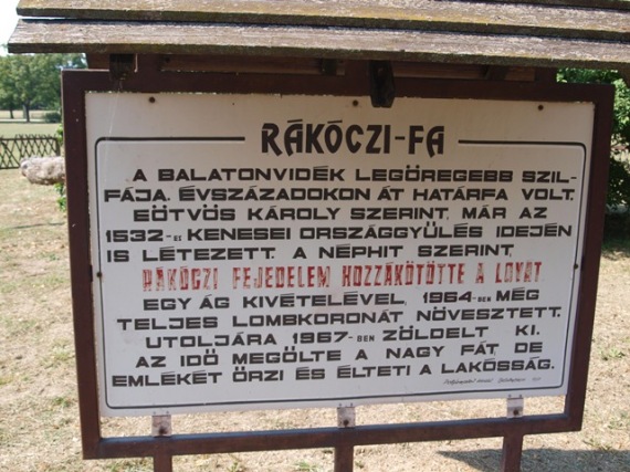 09. balatonakarattya rakoczi fa tajekoztato tabla
