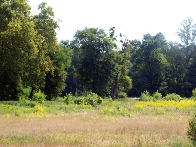 13. Berkesz vay kastely parkja