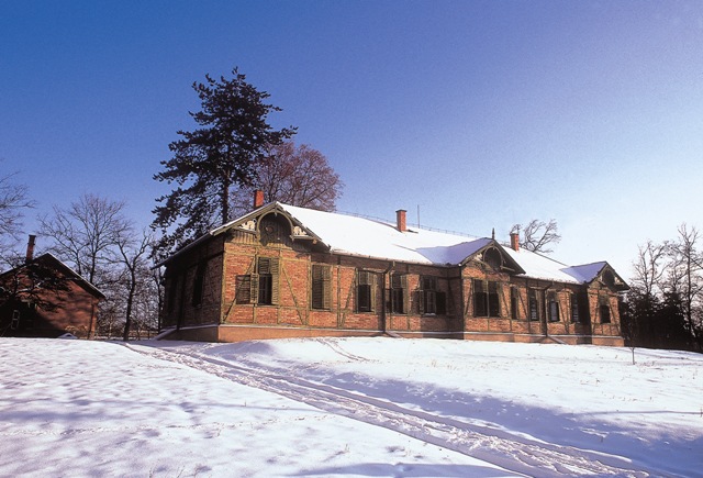 03. szerenalak telen