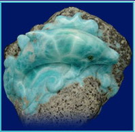 Larimar-delfin
