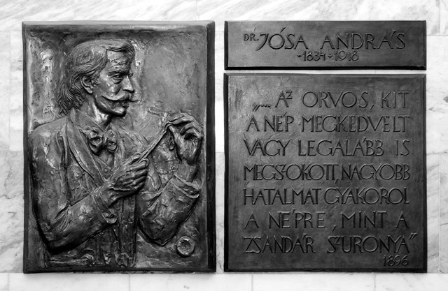 Tóth Sándor: Dr. Jósa András emléktáblája 09. Josa Andras