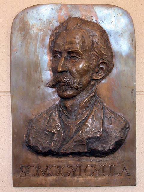 Somogyi Gyula SomogyiGyula